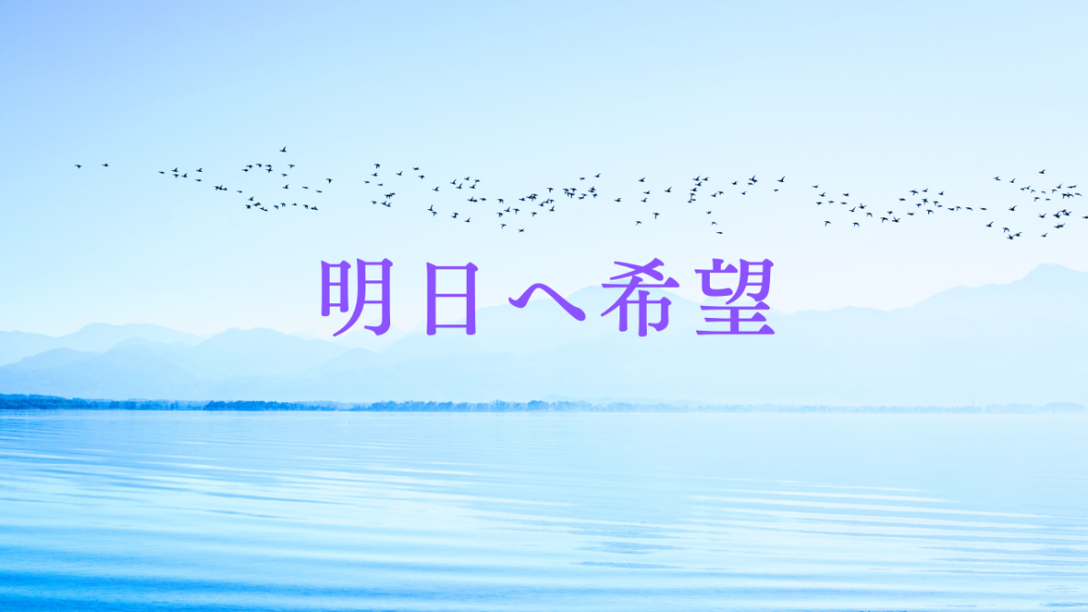 海の上を羽ばたく鳥達