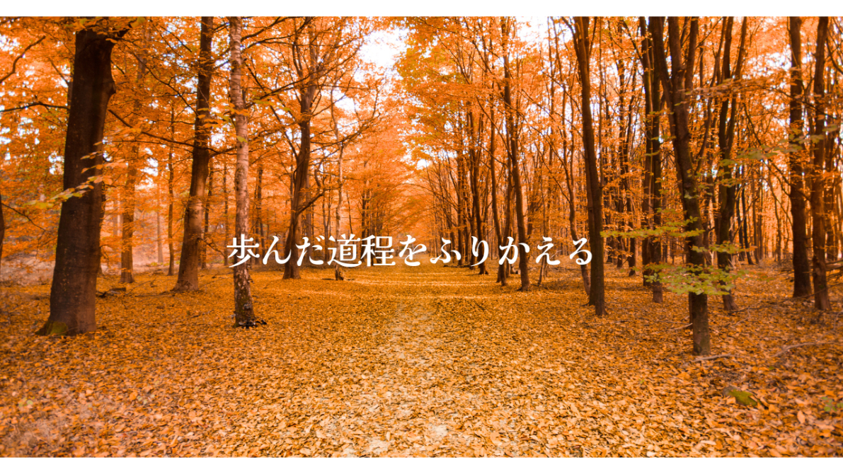 木々の紅葉