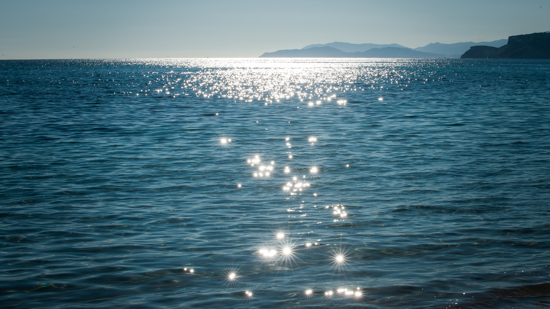 blue_minimal_surfing_camp_presentation_.png